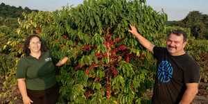 Unveil 8a21a6f614db065bb1ca2c21a5c803aede783f93e5277febbd47f37d9dbae4ca