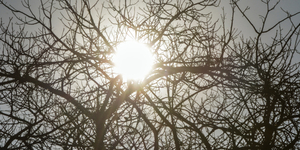 Unveil 8a21a6f614db065bb1ca2c21a5c803aede783f93e5277febbd47f37d9dbae4ca