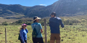 Unveil 8a21a6f614db065bb1ca2c21a5c803aede783f93e5277febbd47f37d9dbae4ca