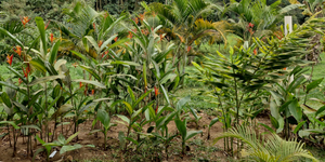 Unveil 8a21a6f614db065bb1ca2c21a5c803aede783f93e5277febbd47f37d9dbae4ca