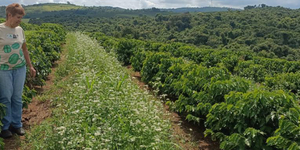 Unveil 8a21a6f614db065bb1ca2c21a5c803aede783f93e5277febbd47f37d9dbae4ca