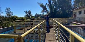 Unveil 8a21a6f614db065bb1ca2c21a5c803aede783f93e5277febbd47f37d9dbae4ca