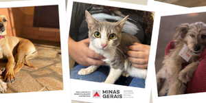 Unveil 8a21a6f614db065bb1ca2c21a5c803aede783f93e5277febbd47f37d9dbae4ca