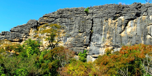 Unveil 8a21a6f614db065bb1ca2c21a5c803aede783f93e5277febbd47f37d9dbae4ca