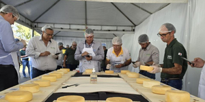 Unveil 8a21a6f614db065bb1ca2c21a5c803aede783f93e5277febbd47f37d9dbae4ca