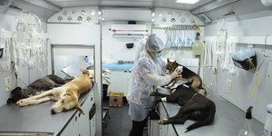 Unveil 8a21a6f614db065bb1ca2c21a5c803aede783f93e5277febbd47f37d9dbae4ca