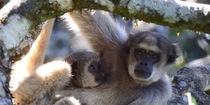 Unveil 8a21a6f614db065bb1ca2c21a5c803aede783f93e5277febbd47f37d9dbae4ca