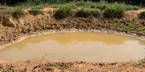 Unveil 8a21a6f614db065bb1ca2c21a5c803aede783f93e5277febbd47f37d9dbae4ca