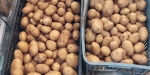 Unveil 8a21a6f614db065bb1ca2c21a5c803aede783f93e5277febbd47f37d9dbae4ca