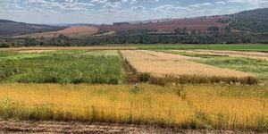 Unveil 8a21a6f614db065bb1ca2c21a5c803aede783f93e5277febbd47f37d9dbae4ca