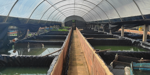 Unveil 8a21a6f614db065bb1ca2c21a5c803aede783f93e5277febbd47f37d9dbae4ca