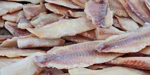 Unveil 8a21a6f614db065bb1ca2c21a5c803aede783f93e5277febbd47f37d9dbae4ca