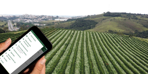 Unveil 8a21a6f614db065bb1ca2c21a5c803aede783f93e5277febbd47f37d9dbae4ca