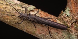 Unveil 8a21a6f614db065bb1ca2c21a5c803aede783f93e5277febbd47f37d9dbae4ca