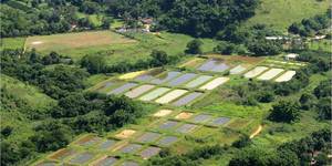 Unveil 8a21a6f614db065bb1ca2c21a5c803aede783f93e5277febbd47f37d9dbae4ca