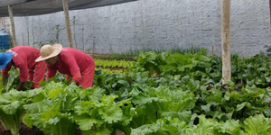 Unveil 8a21a6f614db065bb1ca2c21a5c803aede783f93e5277febbd47f37d9dbae4ca