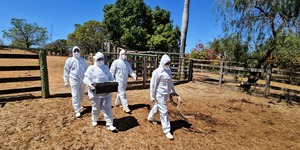 Unveil 8a21a6f614db065bb1ca2c21a5c803aede783f93e5277febbd47f37d9dbae4ca