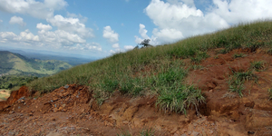 Unveil 8a21a6f614db065bb1ca2c21a5c803aede783f93e5277febbd47f37d9dbae4ca