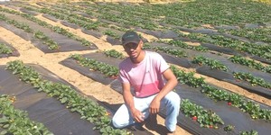 Unveil 8a21a6f614db065bb1ca2c21a5c803aede783f93e5277febbd47f37d9dbae4ca