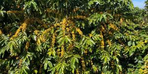 Unveil 8a21a6f614db065bb1ca2c21a5c803aede783f93e5277febbd47f37d9dbae4ca