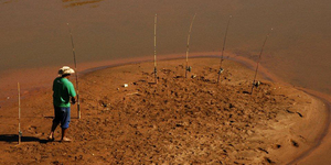 Unveil 8a21a6f614db065bb1ca2c21a5c803aede783f93e5277febbd47f37d9dbae4ca