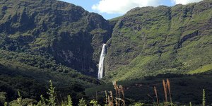 Unveil 8a21a6f614db065bb1ca2c21a5c803aede783f93e5277febbd47f37d9dbae4ca