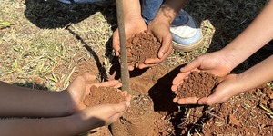 Unveil 8a21a6f614db065bb1ca2c21a5c803aede783f93e5277febbd47f37d9dbae4ca