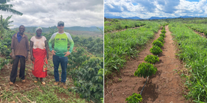 Unveil 8a21a6f614db065bb1ca2c21a5c803aede783f93e5277febbd47f37d9dbae4ca