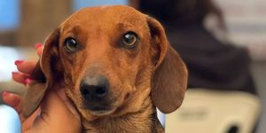 Unveil 8a21a6f614db065bb1ca2c21a5c803aede783f93e5277febbd47f37d9dbae4ca