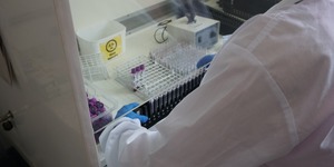 Unveil 8a21a6f614db065bb1ca2c21a5c803aede783f93e5277febbd47f37d9dbae4ca