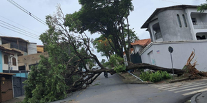 Unveil 8a21a6f614db065bb1ca2c21a5c803aede783f93e5277febbd47f37d9dbae4ca