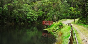 Unveil 8a21a6f614db065bb1ca2c21a5c803aede783f93e5277febbd47f37d9dbae4ca