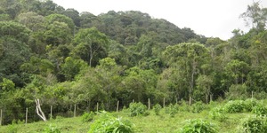 Unveil 8a21a6f614db065bb1ca2c21a5c803aede783f93e5277febbd47f37d9dbae4ca