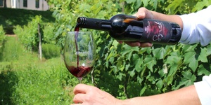 Unveil 8a21a6f614db065bb1ca2c21a5c803aede783f93e5277febbd47f37d9dbae4ca