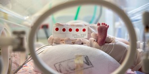 Unveil 8a21a6f614db065bb1ca2c21a5c803aede783f93e5277febbd47f37d9dbae4ca