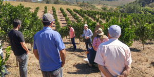 Unveil 8a21a6f614db065bb1ca2c21a5c803aede783f93e5277febbd47f37d9dbae4ca