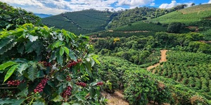 Unveil 8a21a6f614db065bb1ca2c21a5c803aede783f93e5277febbd47f37d9dbae4ca