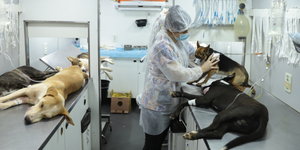 Unveil 8a21a6f614db065bb1ca2c21a5c803aede783f93e5277febbd47f37d9dbae4ca