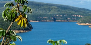 Unveil 8a21a6f614db065bb1ca2c21a5c803aede783f93e5277febbd47f37d9dbae4ca