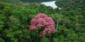 Unveil 8a21a6f614db065bb1ca2c21a5c803aede783f93e5277febbd47f37d9dbae4ca