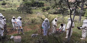 Unveil 8a21a6f614db065bb1ca2c21a5c803aede783f93e5277febbd47f37d9dbae4ca