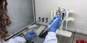 Unveil 8a21a6f614db065bb1ca2c21a5c803aede783f93e5277febbd47f37d9dbae4ca