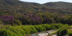 Unveil 8a21a6f614db065bb1ca2c21a5c803aede783f93e5277febbd47f37d9dbae4ca