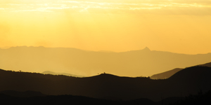 Unveil 8a21a6f614db065bb1ca2c21a5c803aede783f93e5277febbd47f37d9dbae4ca