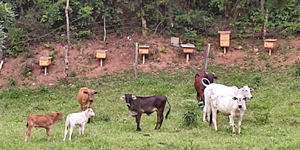 Unveil 8a21a6f614db065bb1ca2c21a5c803aede783f93e5277febbd47f37d9dbae4ca