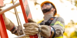 Unveil 8a21a6f614db065bb1ca2c21a5c803aede783f93e5277febbd47f37d9dbae4ca