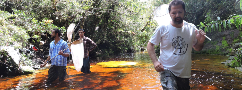Pesquisas científicas avançam nos parques estaduais e fortalecem a conservação da biodiversidade em Minas Gerais