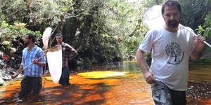 Unveil 8a21a6f614db065bb1ca2c21a5c803aede783f93e5277febbd47f37d9dbae4ca