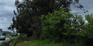 Unveil 8a21a6f614db065bb1ca2c21a5c803aede783f93e5277febbd47f37d9dbae4ca