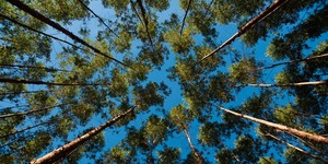 Unveil 8a21a6f614db065bb1ca2c21a5c803aede783f93e5277febbd47f37d9dbae4ca